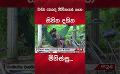             Video: හොඳ ජීවිතයක් ගැන සිහින දකින මිනිස්සු #people #srilanka #viralnews #srilankanews
      