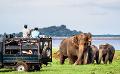             Over 56,000 tourist arrivals to Sri Lanka in the first 16 days of April
      