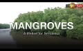             Video: Mangroves: A Lifeline For Sri Lanka - Part 01
      