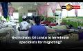             Video: Braindrain: Sri Lanka to terminate specialists for migrating?
      