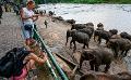             Tourist arrivals in Sri Lanka in 2023 exceed 860,000
      