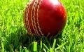             Cricketers Hit Blue Thunder
      