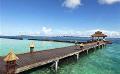             Maldives eyes $100 million tourist tax for CO2 plan
      