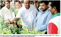             Fresh boost for floriculture exports
      