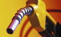             Committee to probe complaints on substandard petrol
      
