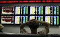             Asia shares ease after recent gain, policy bets persist
      