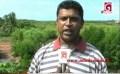       Video: Fish <em><strong>shortage</strong></em> in Negombo lagoon due to mangrove destruction
  