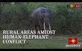             Video: Rural Sri Lanka at the crossroads of the Human-Elephant Conflict
      