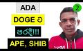            Video: ADA LOST TO DOGE!!! | BITCOIN, APECOIN, AND SHIBA INU
      