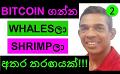             Video: BITCOIN | SHRIMPS BEAT WHALES IN DIP BUYING BITOIN!!!
      
