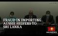             Video: Fraud in importing Aussie heifers to Sri Lanka
      