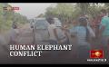             Video: Sri Lankan locals protest against worsening Human-Elephant conflict
      