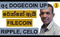             Video: WHY DOGECOIN IS MOVING UP TODAY??? | CELO AND RIPPLE
      
