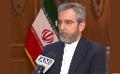             Iran, India complete each other: Iranian Deputy Foreign Minister
      