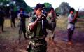             Pakistan accused of trying to revive the LTTE
      