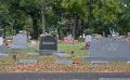             Oakwood Sexton Provides Update On Cemetery Trees
      