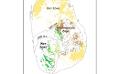             Other State Forests and the Conservation of Sri Lanka’s Rainforest Biota
      