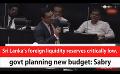             Video: Sri Lanka’s foreign liquidity reserves critically low, govt planning new budget: Sabry  (...
      