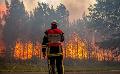             More evacuations as Mediterranean wildfires spread
      