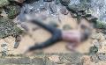             Body found washed ashore at Galle Face beach
      