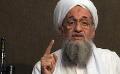             Al-Qaeda leader killed in US drone strike
      
