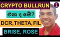             Video: IS THIS THE CRYPTO BULL RUN??? | DECRED, THETA, FILECOIN, BRISE, AND ROSE | PART 1
      