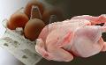             Price of an egg to hit Rs.70 in Sri Lanka
      