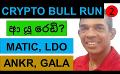             Video: CRYPTO BULL RUN IS HERE, ARE YOU READY??? | ETHEREUM MATIC, LDO, ANKR, AND GALA - PART 02
      
