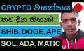             Video: CRYPTO WILL RALLY FOR ANOTHER 30 DAYS!!! | SHIB, DOGE, APE, SOLANA, ADA, AND MATIC - PART...
      