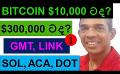             Video: WILL BITCOIN GO TO $10,000 OR $300,000??? | GMT, LINK, SOLANA, ACALA, AND DOT - PART 01
      