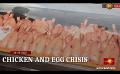             Video: Will the chicken and egg crisis in the country worsen it?
      