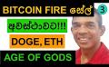             Video: BITCOIN REACHES THE FIRESALE POINT!!! | DOGECOIN, ETHEREUM, AND AGE OF GODS
      