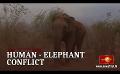             Video: Elephant Attacks: 5 deaths in 48 hours
      
