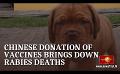             Video: Chinese donation of vaccines brings down rabies deaths
      
