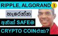             Video: THE SAFEST CRYPTOCURRENCY EXCEPT RIPPLE AND ALGORAND!!!
      