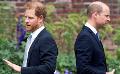             Prince Harry accuses Prince William of physical attack
      