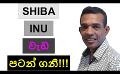             Video: SHIBA INU GETS READY FOR A BIG MOVE???
      