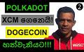             Video: POLKADOT BRINGS IN XCM TECHNOLOGY!!! | DOGECOIN BECOMES NO.07!!!
      