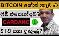             Video: EL SALVADORE CELEBRATED A GREAT BITCOIN WIN!!! | CARDANO TO $1???
      