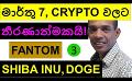             Video: 7TH MARCH WILL BE A DECISIVE DAY FOR CRYPTO!!! | SHIBA INU AND GBTC
      