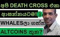             Video: BITCOIN'S DEATH CROSS IS AROUND THE CORNER!!! | THREE ALTCOINS WITH A HUGE WHALE'S INTERE...
      