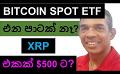             Video: BITCOIN SPOT ETFS, HIGHLY UNLIKELY??? | XRP TO REACH $500 MARK???
      