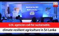             Video: U.N. agencies call for sustainable, climate-resilient agriculture in Sri Lanka (English)+
      