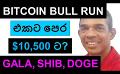             Video: BITCOIN TO GO DOWN TO $10,500 BEFORE BULL RUN BEGINS??? | GALA, SHIB, AND DOGE
      