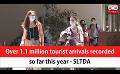             Video: Over 1.1 million tourist arrivals recorded so far this year - SLTDA (English)
      