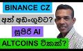             Video: CZ WON'T BE ALLOWED TO LEAVE THE USA??? | THE BEST AI ALTCOINS TO BUY!!!
      