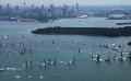             Cat makes history in Sydney to Hobart yacht race
      
