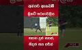             Video: ත්යාග දුන් සනත්, සිදත් සහ හරින් #cricket #sanathjayasuriya #srilankacricket
      