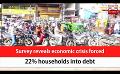             Video: Survey reveals economic crisis forced 22% households into debt (English)
      