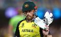             Australia T20 captain Aaron Finch retires
      